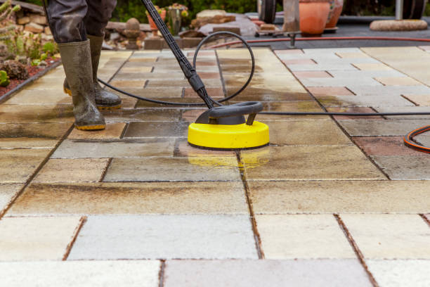 Best Animal Enclosure Cleaning  in Algood, TN