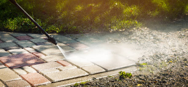 Best Animal Enclosure Cleaning  in Algood, TN